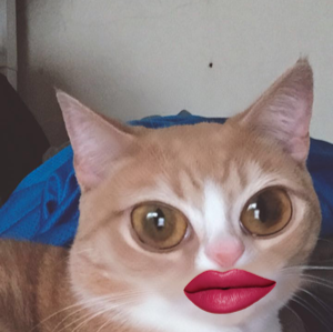 David Craft Photo 46 David Craft Photo 46