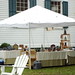 Patricia Groves Photo 14