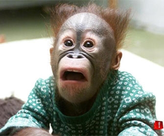 Kate Singleton Photo 26