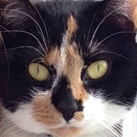 Jennifer Keys Photo 17