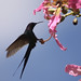 Sheri Bird Photo 16