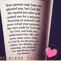 Barbara Hook Photo 17