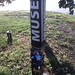 Amy Snipes Photo 16