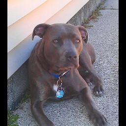 James Anders Photo 42