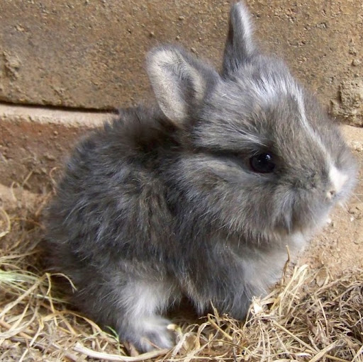 Samantha Crow Photo 8