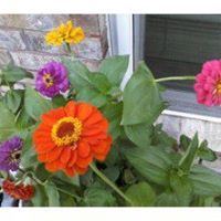 Katherine Billings Photo 31