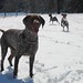 Chase Porter Photo 4