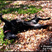 Julie Love Photo 21