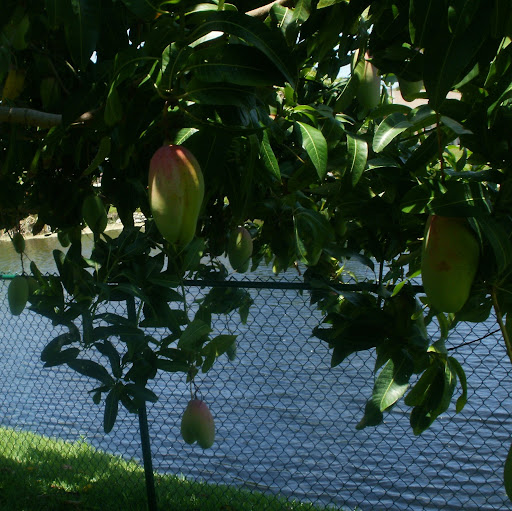 Andre Maxwell Photo 35