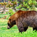 Mark Citton Photo 11