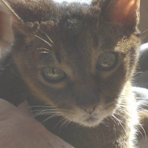 Catherine Regan Photo 8