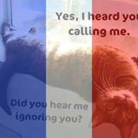 Vicki Hickman Photo 7