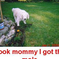 Michelle Rupert Photo 13