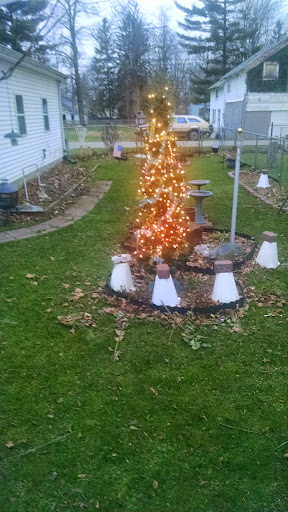 Joyce Schmidt Photo 22