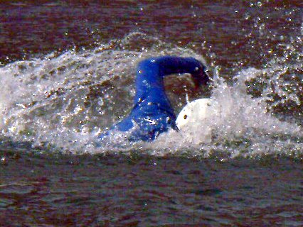 Francisco Vega Photo 42