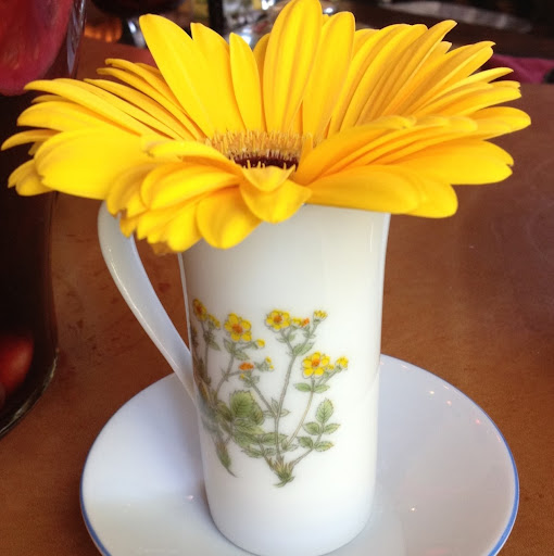 Jennifer Trotta Photo 3