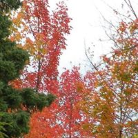 Joyce Schultz Photo 10