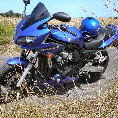 Paula Barrett Photo 46 Paula Barrett Photo 46