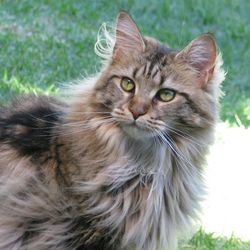 Edith White Photo 41