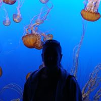 Debbie Schafer Photo 20