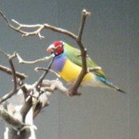 Elizabeth Connors Photo 21