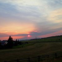 Sherry Dickie Photo 19
