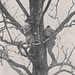 Robert Christenson Photo 25