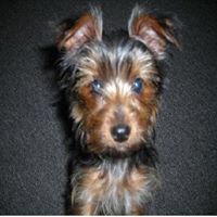 Tobias Clark Photo 8