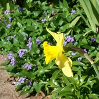 Cindy Strawn Photo 8
