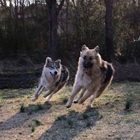 Laura Whitlock Photo 28