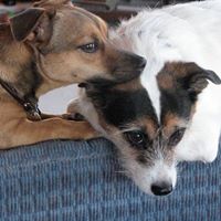 Jane Schroeder Photo 15