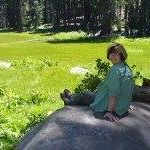 Shauna Austin Photo 27