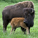 Connie Hinds Photo 13