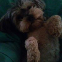 Cindy Watts Photo 28