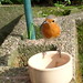 Robin May Photo 21