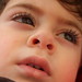 Alice Corrado Photo 12