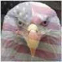 Christine Platt Photo 19 Christine Platt Photo 19