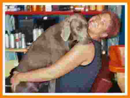 Traci Albright Photo 11