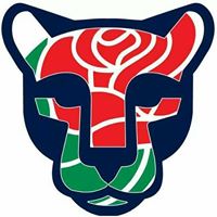 Rachel Roth Photo 20