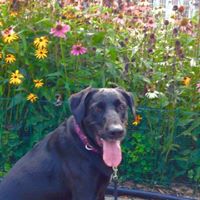 Jane Peterson Photo 18