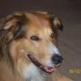 Lisa Rhoads Photo 2