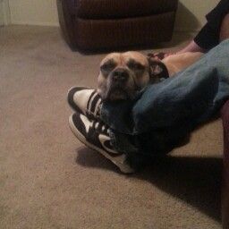 Joseph Ferris Photo 32