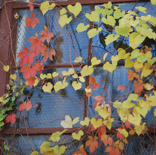 Christine Walton Photo 18