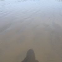 Allison Rowe Photo 18