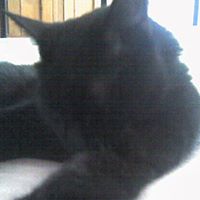 Christine Grimes Photo 26