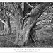 Allen Branch Photo 21