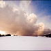 Tina Neve Photo 10