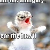 Jeremy Curtis Photo 41