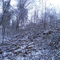Patricia Worley Photo 8