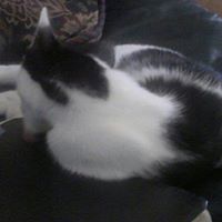 Teresa Ashworth Photo 12